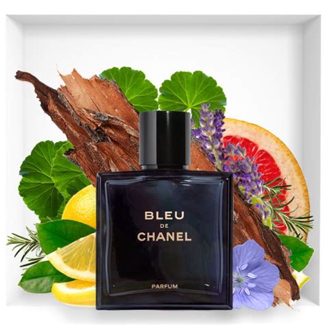 blue de chanel sample|Chanel bleu for men sample.